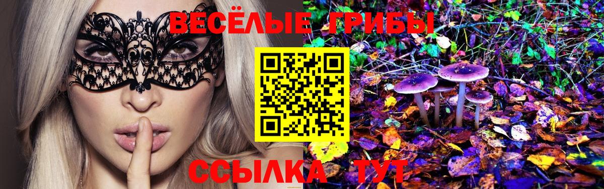 Псилоцибиновые грибы мухоморы Можайск